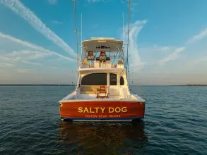 Thumbnail von Viking 54 Convertible SALTY DOG