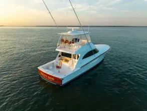 Thumbnail von Viking 54 Convertible SALTY DOG