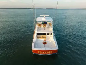 Thumbnail von Viking 54 Convertible SALTY DOG