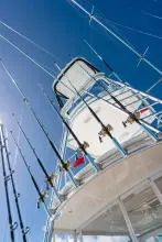 Thumbnail von Viking 54 Open REVELRY