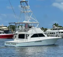 Thumbnail von Viking 52 Convertible FIVE TOES