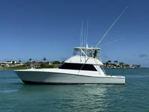 Viking 50 Convertible REEL LEGACY