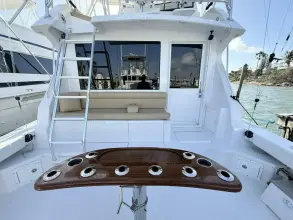 Thumbnail von Viking 50 Convertible REEL LEGACY