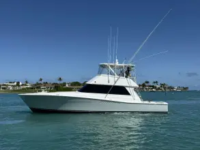 Thumbnail von Viking 50 Convertible REEL LEGACY