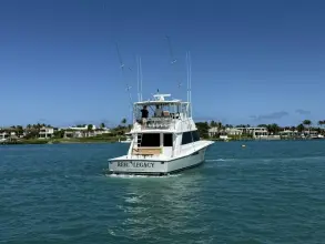 Thumbnail von Viking 50 Convertible REEL LEGACY