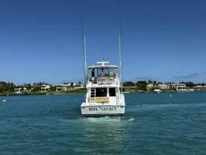 Thumbnail von Viking 50 Convertible REEL LEGACY