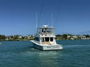Thumbnail von Viking 50 Convertible REEL LEGACY