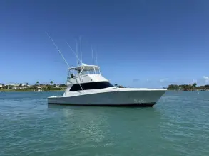 Thumbnail von Viking 50 Convertible REEL LEGACY