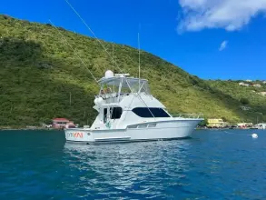 Thumbnail von Hatteras 50 Convertible