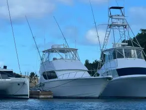 Thumbnail von Hatteras 50 Convertible