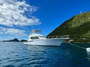 Thumbnail von Hatteras 50 Convertible