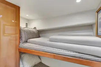 Thumbnail von Viking 50 Convertible Lady S