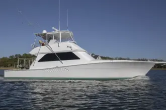 Thumbnail von Viking 50 Convertible Lady S