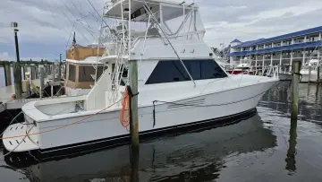 Viking 45 Convertible Wild Life