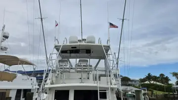 Thumbnail von Viking 45 Convertible Wild Life