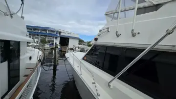 Thumbnail von Viking 45 Convertible Wild Life