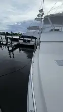 Thumbnail von Viking 45 Convertible Wild Life