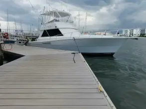 Thumbnail von Viking 45 Convertible Wild Life