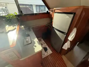 Thumbnail von Viking 45 Convertible Wild Life