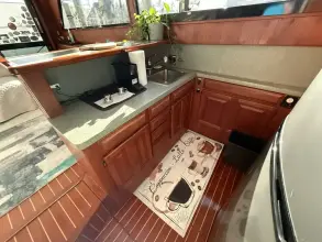 Thumbnail von Viking 45 Convertible Wild Life