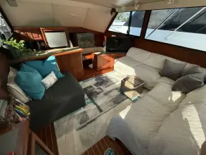 Thumbnail von Viking 45 Convertible Wild Life