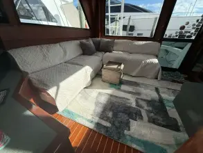 Thumbnail von Viking 45 Convertible Wild Life