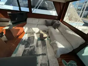Thumbnail von Viking 45 Convertible Wild Life