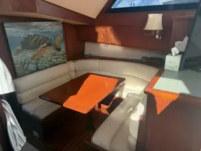 Thumbnail von Viking 45 Convertible Wild Life