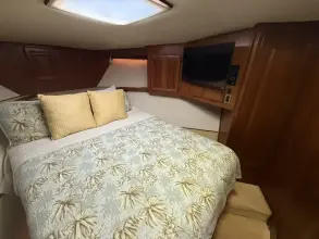 Thumbnail von Viking 45 Convertible Wild Life