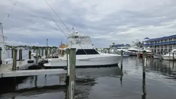 Thumbnail von Viking 45 Convertible Wild Life