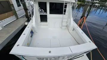 Thumbnail von Viking 45 Convertible Wild Life