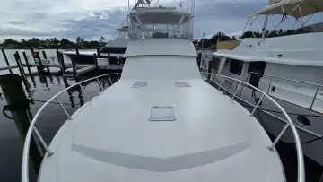 Thumbnail von Viking 45 Convertible Wild Life