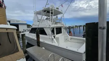 Thumbnail von Viking 45 Convertible Wild Life