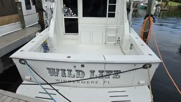 Thumbnail von Viking 45 Convertible Wild Life