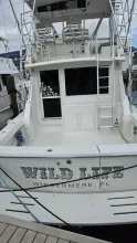Thumbnail von Viking 45 Convertible Wild Life