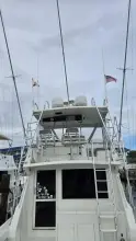 Thumbnail von Viking 45 Convertible Wild Life