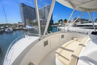 Thumbnail von Viking 42 Convertible Bella Vita