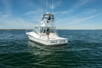Thumbnail von Albemarle 41 Express Salt Lick