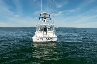 Thumbnail von Albemarle 41 Express Salt Lick