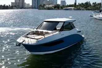 Thumbnail von Sea Ray Sundancer 320