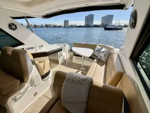 Thumbnail von Sea Ray Sundancer 320