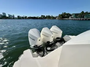 Thumbnail von Sea Ray Sundancer 320