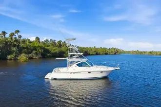 Thumbnail von Tiara Yachts 3100 Open Serenity