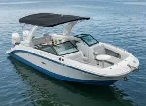 Thumbnail von Sea Ray SDX 290 Dıştan Takma Motor