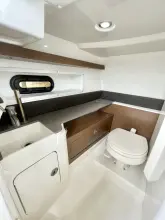 Thumbnail von Sea Ray SDX 290 Dıştan Takma Motor