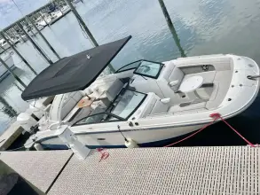 Thumbnail von Sea Ray SDX 290 Dıştan Takma Motor