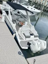 Thumbnail von Sea Ray SDX 290 Dıştan Takma Motor