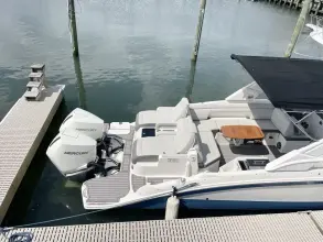 Thumbnail von Sea Ray SDX 290 Dıştan Takma Motor