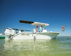 Thumbnail von Sea Pro Boats 265 FLX Sandbar
