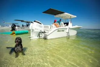 Thumbnail von Sea Pro Boats 265 FLX Sandbar